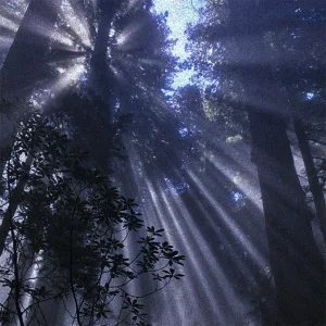 Phantaszz - MEMORIES