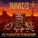 Public Enemy feat. Mike D, Ad-Rock, Run D.M.C. - Public Enemy Number Won
