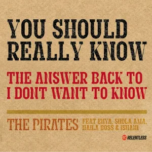 The Pirates feat. Enya, Shola Ama, Naila Boss, Ishani - You Should Really Know