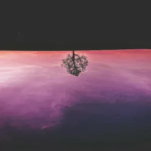 Oleg Byonic - Ocean