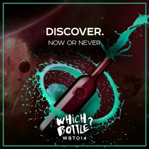 DiscoVer. - Now Or Never (Original Mix)