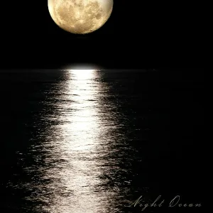 Irvin Johnston - Night Ocean