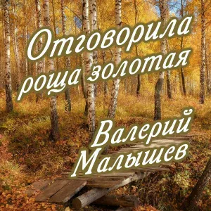 Валерий Малышев - Темная ночь