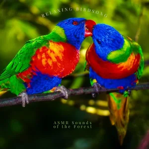 ASMR Sounds of the Forest - Sounds of Birds Chirping, Loopable