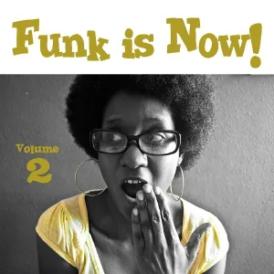 Funky Brothers - Guitarras