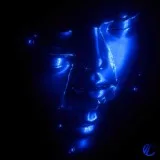 Sibewest - Chaos
