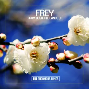 Frey - Just a Lil Bit