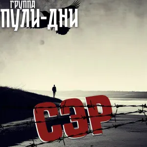 Группа Пули-Дни - Ленинский район