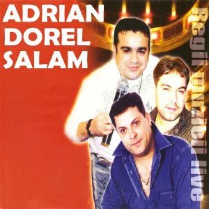 FLORIN SALAM - De Ce N-Ai Spus
