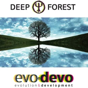 Deep Forest - Tibet