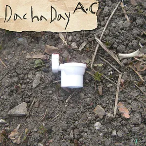 Dacha Day - Не бывал в тайге