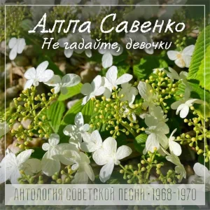 Алла Савенко - Когда трещит мороз