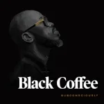 Black Coffee, Diplo feat. Elderbrook - Never Gonna Forget