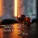 Relax α Wave - Evening Splendour