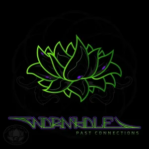 Wormhole - Purple Shardz Of Glass