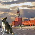 Дмитрий Гревцев - Москва, вам это не Россия