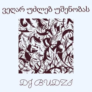 DJ BUDZI - ვეღარ უძლებ უშენობას