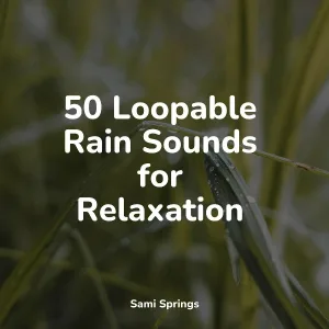 Yoga Soul, Thunder and Rain Storm, The Relaxation Principle - Thunder, Rains