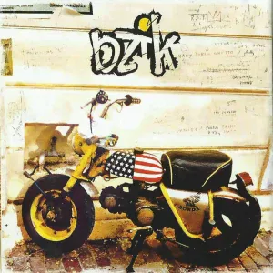 Bzik - Проблемы?