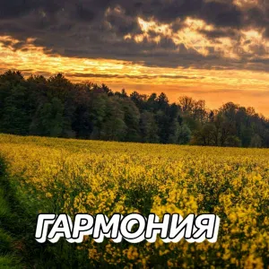 Сергей Грищук - ДЫХАНИЕ ОСЕНИ