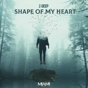 Z-DEEP - Shape of My Heart