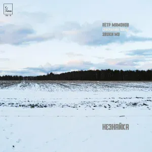Пётр Мамонов, Звуки Му - Интро