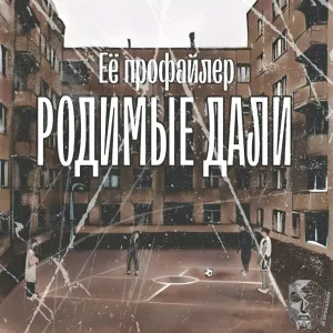 Её профайлер feat. лисы да совы - Холодно