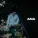 Sadraddin - Ana