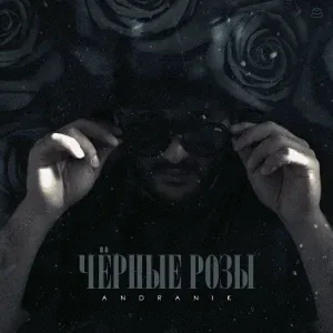 Andranik - Чёрные розы