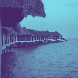ослепительный Классический джаз - Настроения (Рестораны)