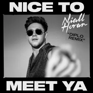 Niall Horan, Diplo - Nice To Meet Ya