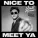 Niall Horan, Diplo - Nice To Meet Ya