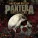 Pantera - Becoming