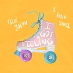 Felix Jaehn, Robin Schulz feat. Georgia Ku - I Got A Feeling
