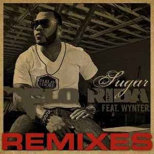Flo Rida - Sugar (feat. Wynter)