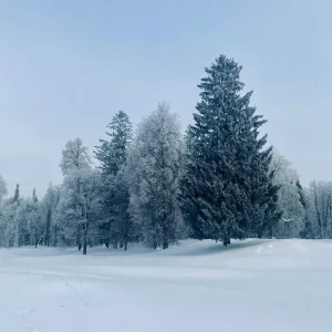 DONYA - Снежинка