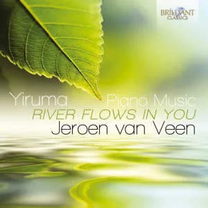 Jeroen van Veen - River Flows in You