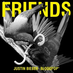 Justin Bieber, BloodPop® - Friends