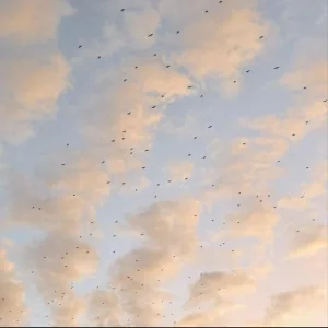 PENKIN - Помню