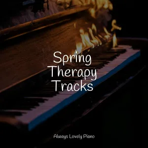 Piano Shades, Brain Study Music Guys, Little Magic Piano - Washed Free