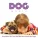 Dog Music - Calm Dog Music