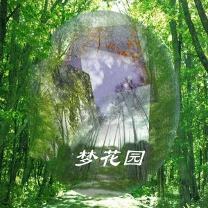 新时代轻音乐团 - 突围