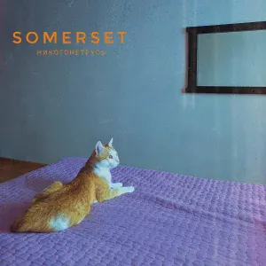 Somerset - друг