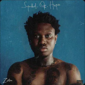 Zlatan feat. Mayorkun - Paypal
