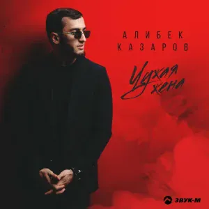 Алибек Казаров - Чужая жена