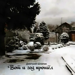 Дмитрий Шлапак - Вот и год прошёл