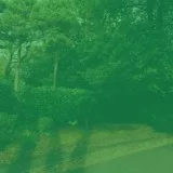 Гладкий; плавный Музыка для чтения - Атмосфера (Чтение книг)