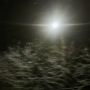 Psyhodelic - Yes It Was