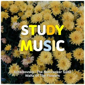 Lovely Tingle - Study Music
