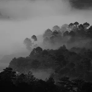 Nature Recordings, Rain and Nature, Sounds of Nature Noise - Success